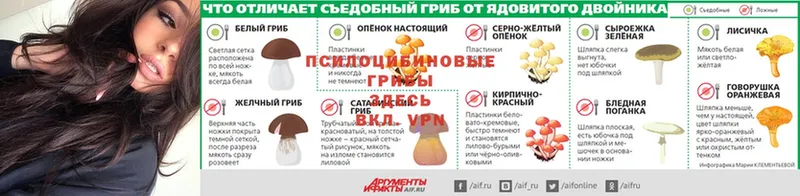 что такое наркотик  OMG онион  Псилоцибиновые грибы мицелий  Буинск 